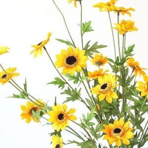 Meet your Posher, Kayleen